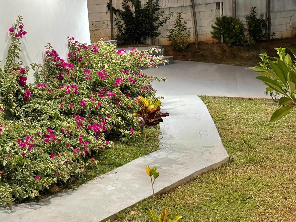 Aydiz Apartments ナンディ エクステリア 写真